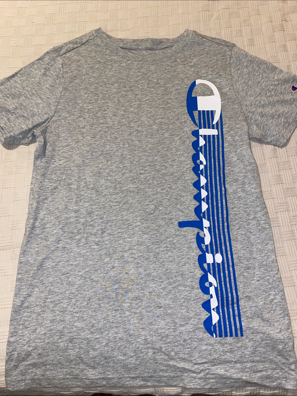 Champion boys size 18/20Gray T-Shirt with Blue Vertical Script Logo